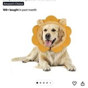 Lion's Roar Dog Costume in Golden Brown
